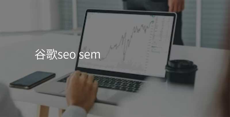 谷歌seo sem