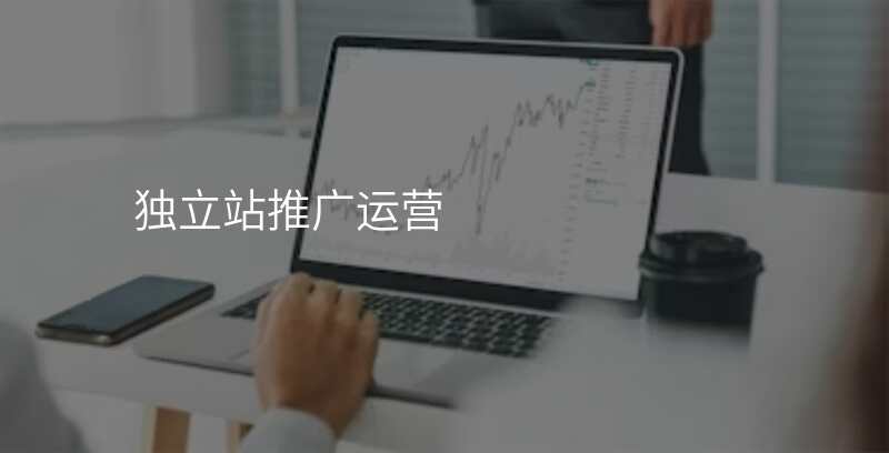 独立站推广运营