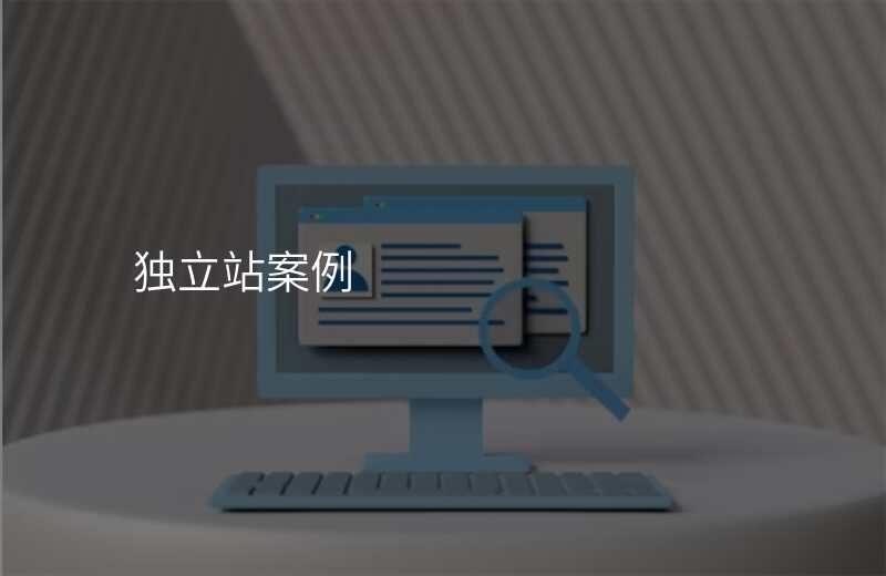 独立站案例