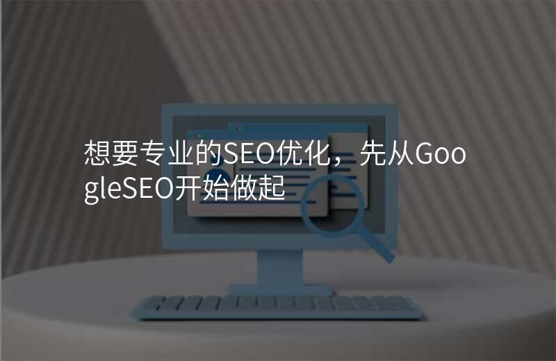 想要专业的SEO优化,先从GoogleSEO开始做起