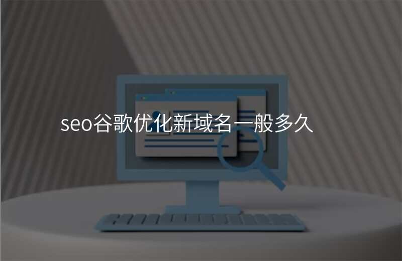 seo谷歌优化新域名一般多久