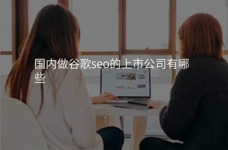 国内做谷歌seo的上市公司有哪些