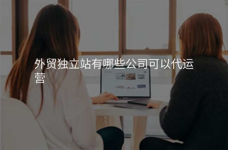外贸独立站有哪些公司可以代运营