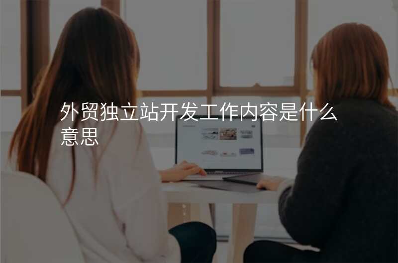 外贸独立站开发工作内容是什么意思