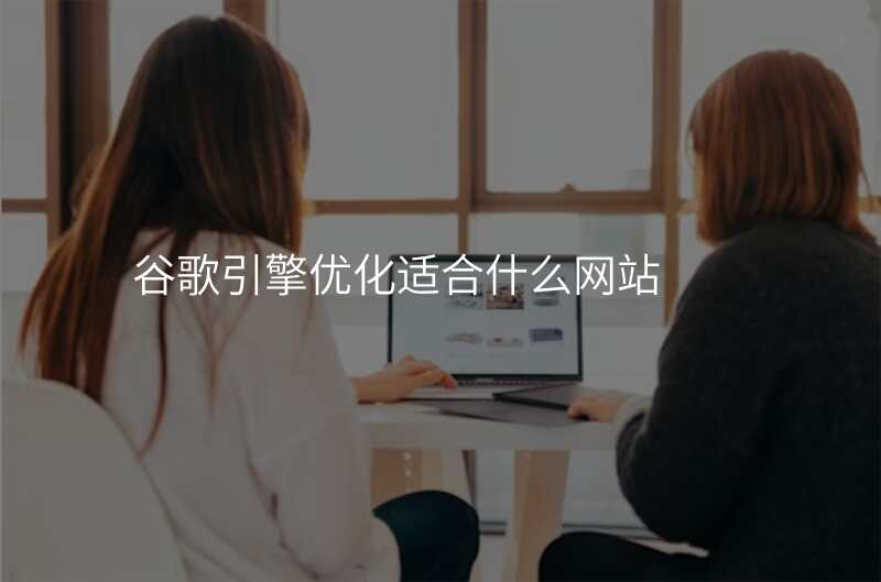 谷歌引擎优化适合什么网站