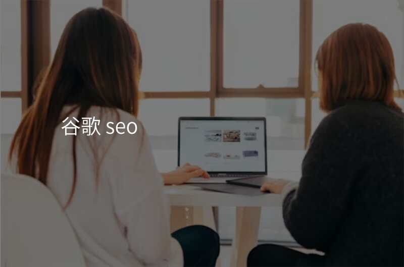 谷歌 seo
