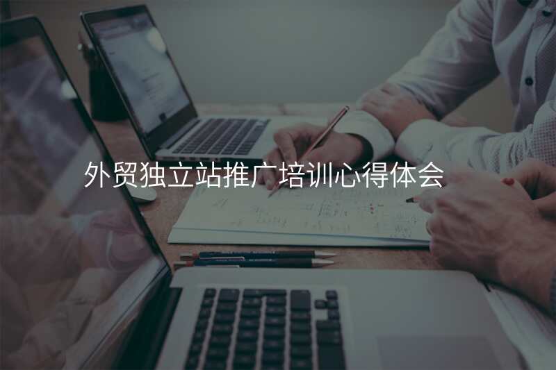 外贸独立站推广培训心得体会