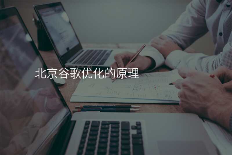 北京谷歌优化的原理