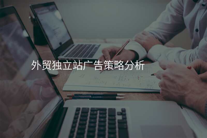外贸独立站广告策略分析
