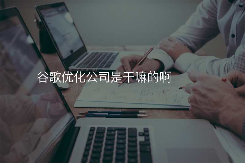 谷歌优化公司是干嘛的啊