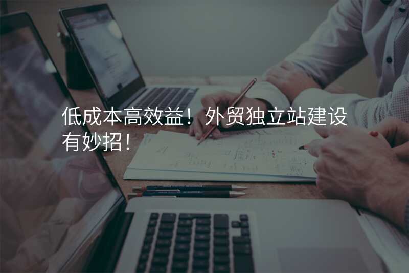 低成本高效益!外贸独立站建设有妙招!