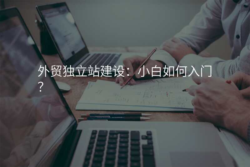 外贸独立站建设:小白如何入门?