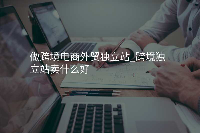 做跨境电商外贸独立站_跨境独立站卖什么好