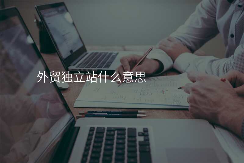 外贸独立站什么意思