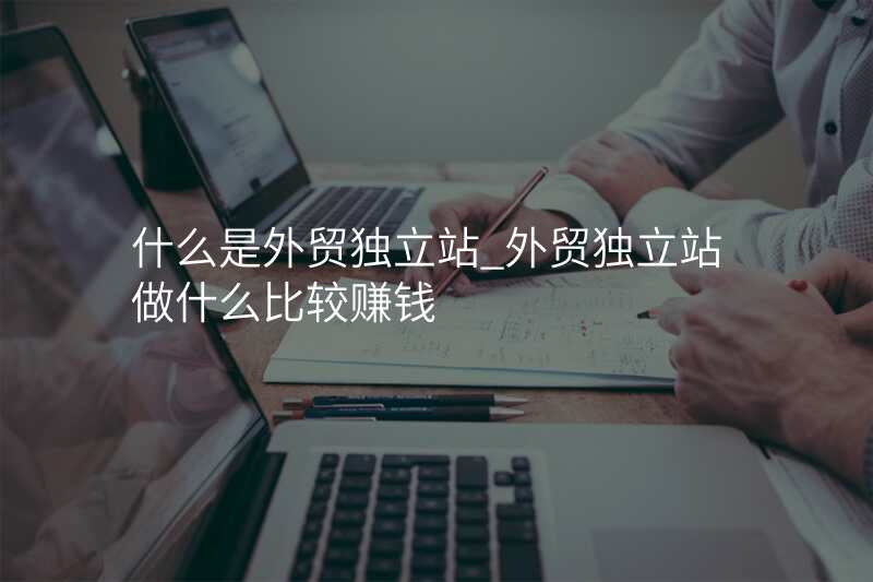 什么是外贸独立站_外贸独立站做什么比较赚钱