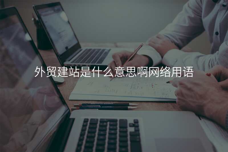 外贸建站是什么意思啊网络用语