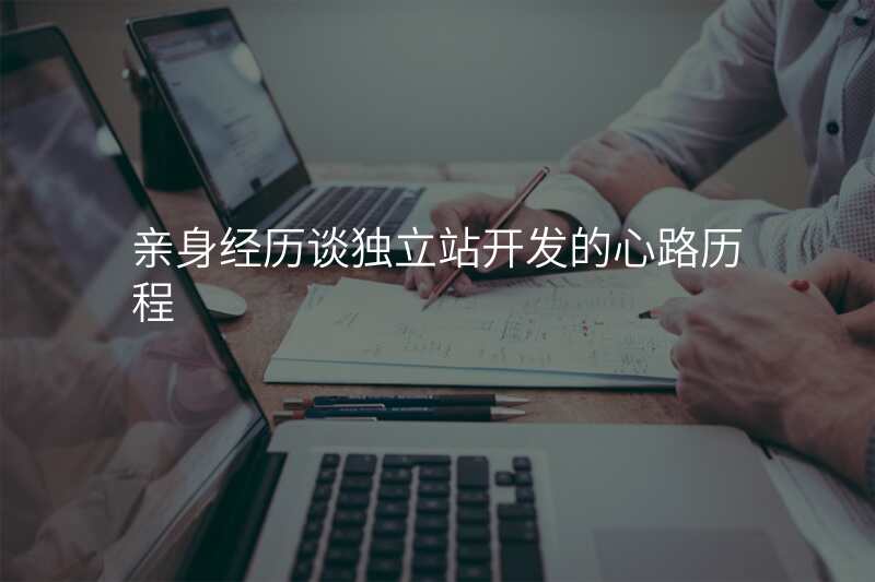 亲身经历谈独立站开发的心路历程