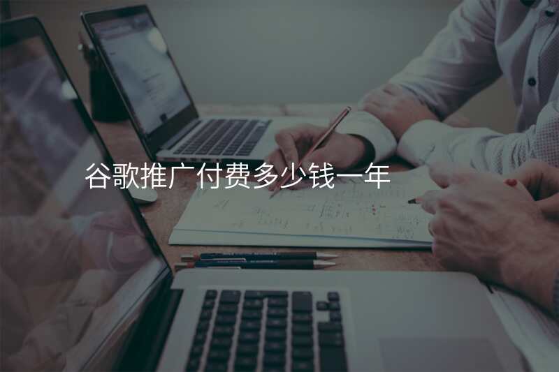 谷歌推广付费多少钱一年