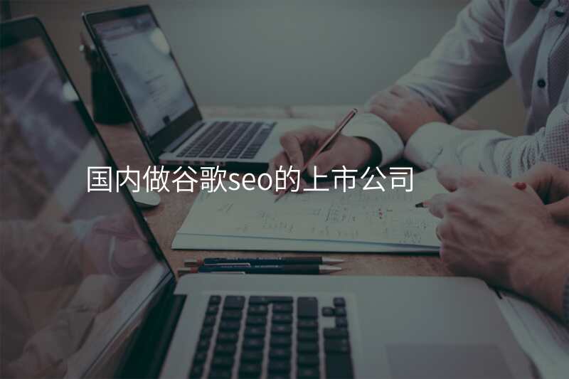 国内做谷歌seo的上市公司