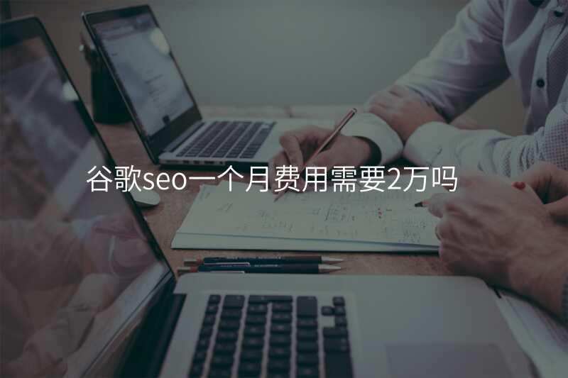 谷歌seo一个月费用需要2万吗