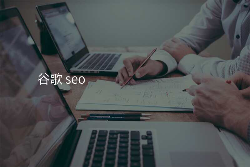 谷歌 seo