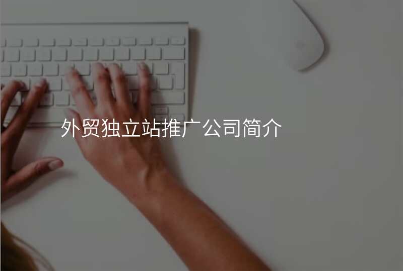 外贸独立站推广公司简介