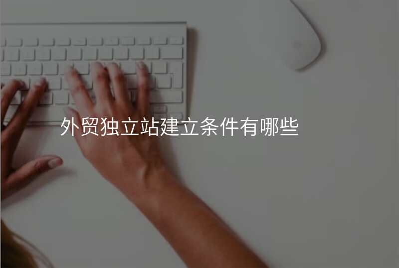 外贸独立站建立条件有哪些