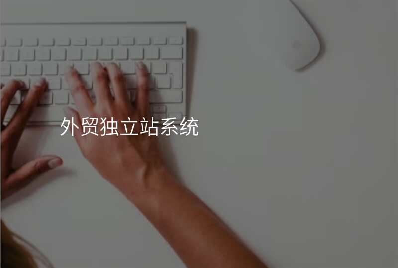 外贸独立站系统