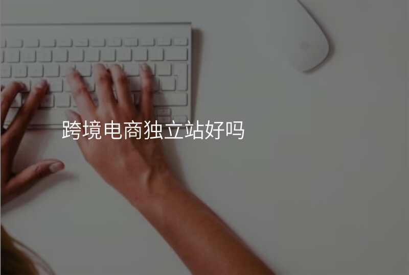 跨境电商独立站好吗
