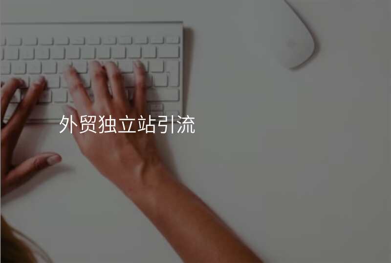 外贸独立站引流