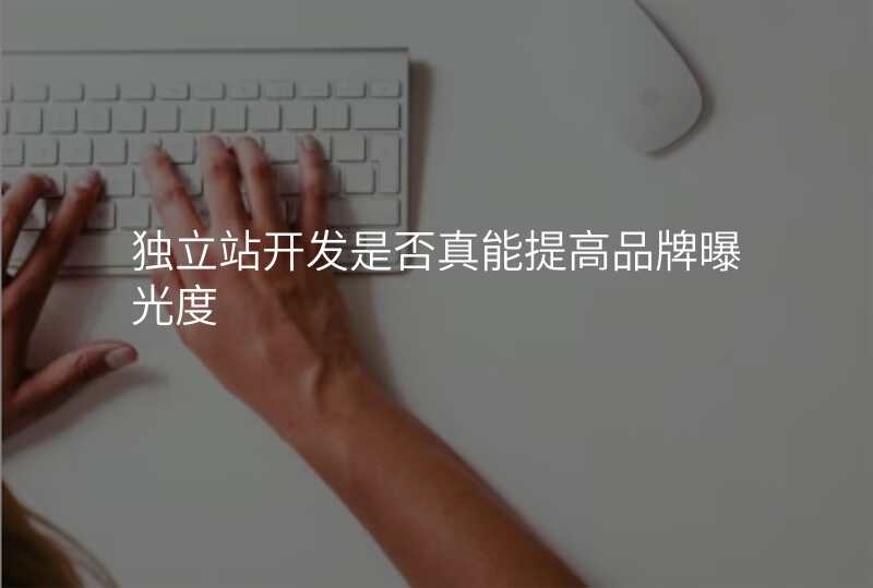 独立站开发是否真能提高品牌曝光度