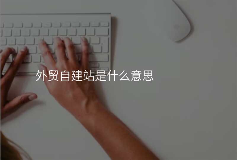 外贸自建站是什么意思
