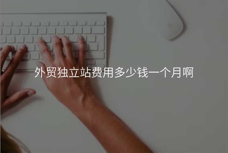外贸独立站费用多少钱一个月啊