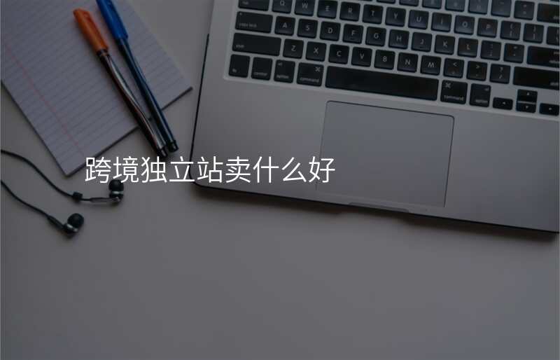 跨境独立站卖什么好