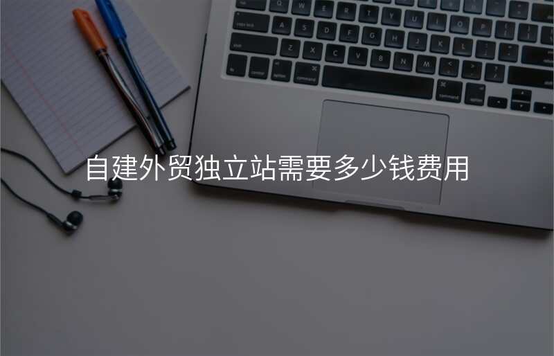 自建外贸独立站需要多少钱费用
