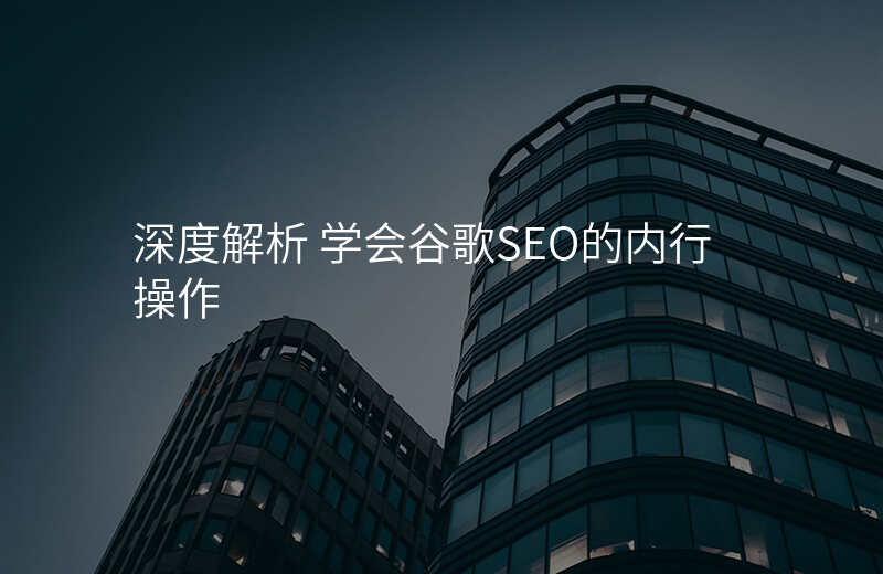 深度解析 学会谷歌SEO的内行操作