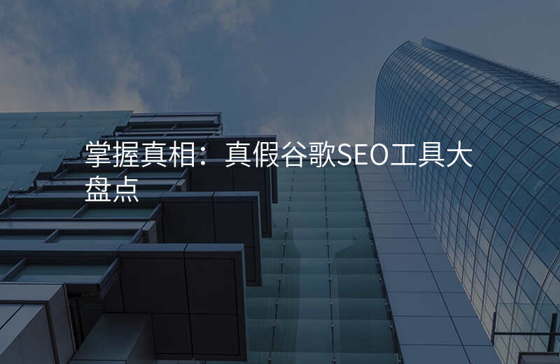 掌握真相:真假谷歌SEO工具大盘点