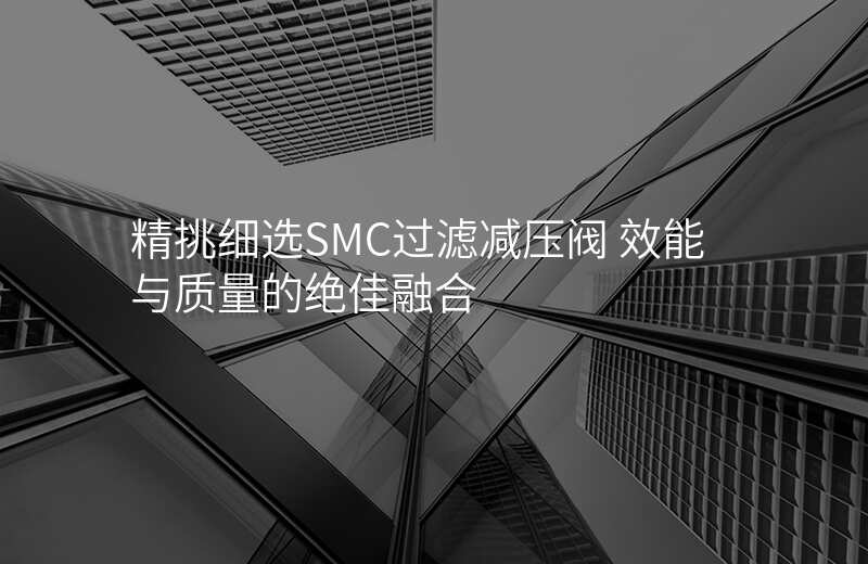 精挑细选SMC过滤减压阀 效能与质量的绝佳融合