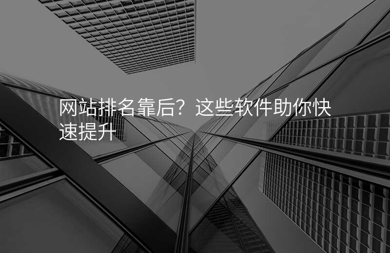 网站排名靠后?这些软件助你快速提升