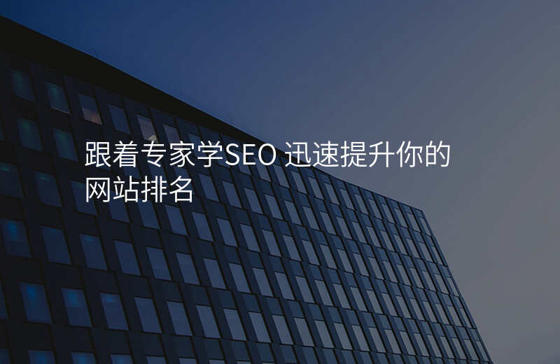 跟着专家学SEO 迅速提升你的网站排名