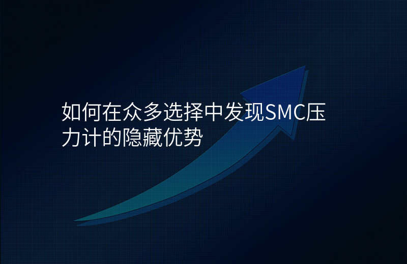 如何在众多选择中发现SMC压力计的隐藏优势