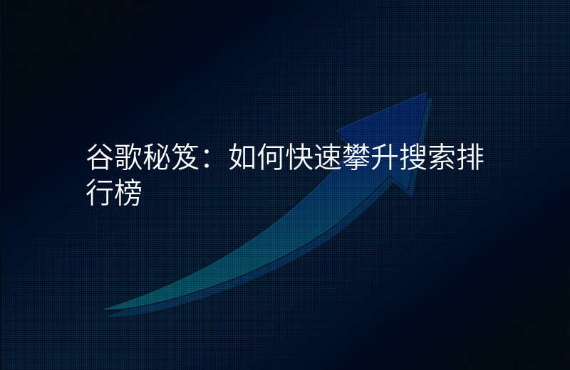 谷歌秘笈:如何快速攀升搜索排行榜