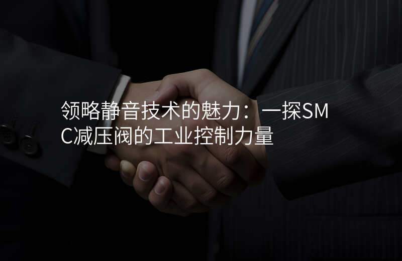 领略静音技术的魅力:一探SMC减压阀的工业控制力量