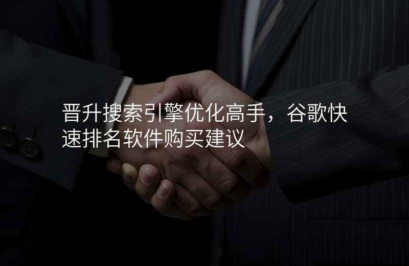 晋升搜索引擎优化高手,谷歌快速排名软件购买建议