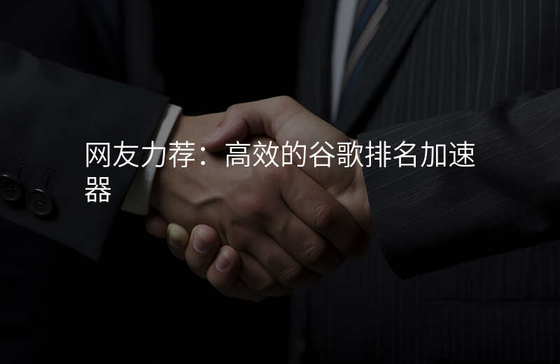 网友力荐:高效的谷歌排名加速器