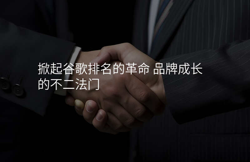 掀起谷歌排名的革命 品牌成长的不二法门