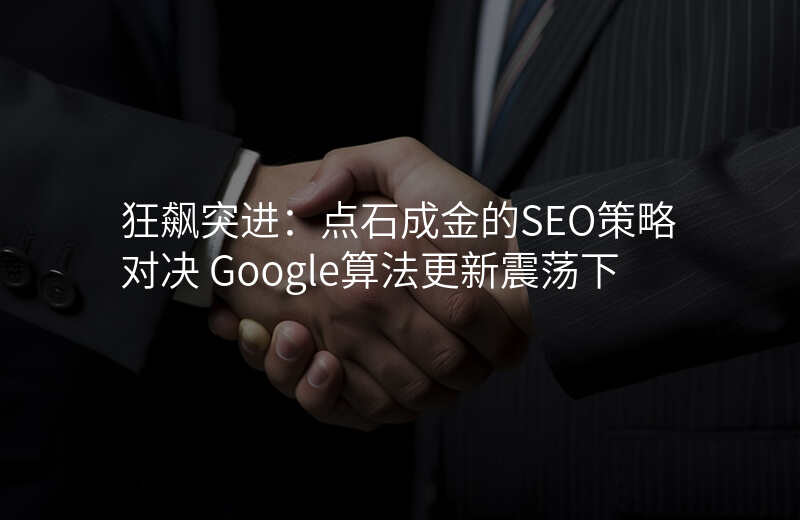 狂飙突进:点石成金的SEO策略对决 Google算法更新震荡下