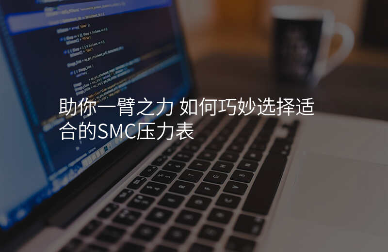 助你一臂之力 如何巧妙选择适合的SMC压力表