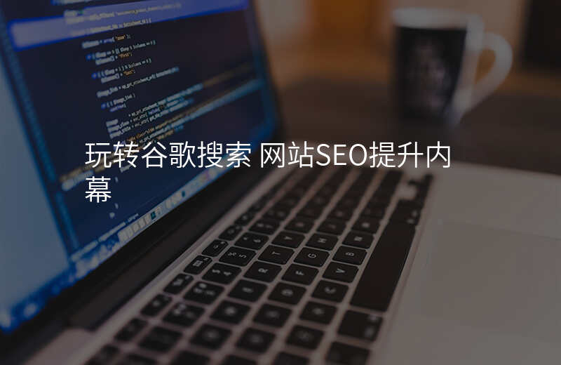 玩转谷歌搜索 网站SEO提升内幕