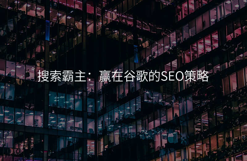 搜索霸主:赢在谷歌的SEO策略